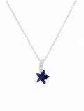 Siren's North Star